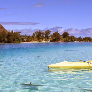 Meet your Posher, Peter